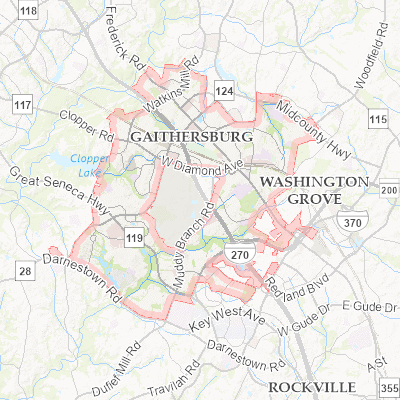 Export Image